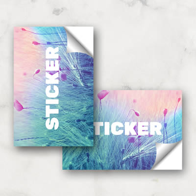 Custom Sticker Printing, Create Sticker - Print Factory