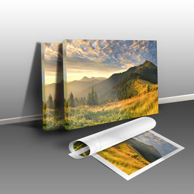 Kelowna Custom Photo Canvas Printing | Print Factory